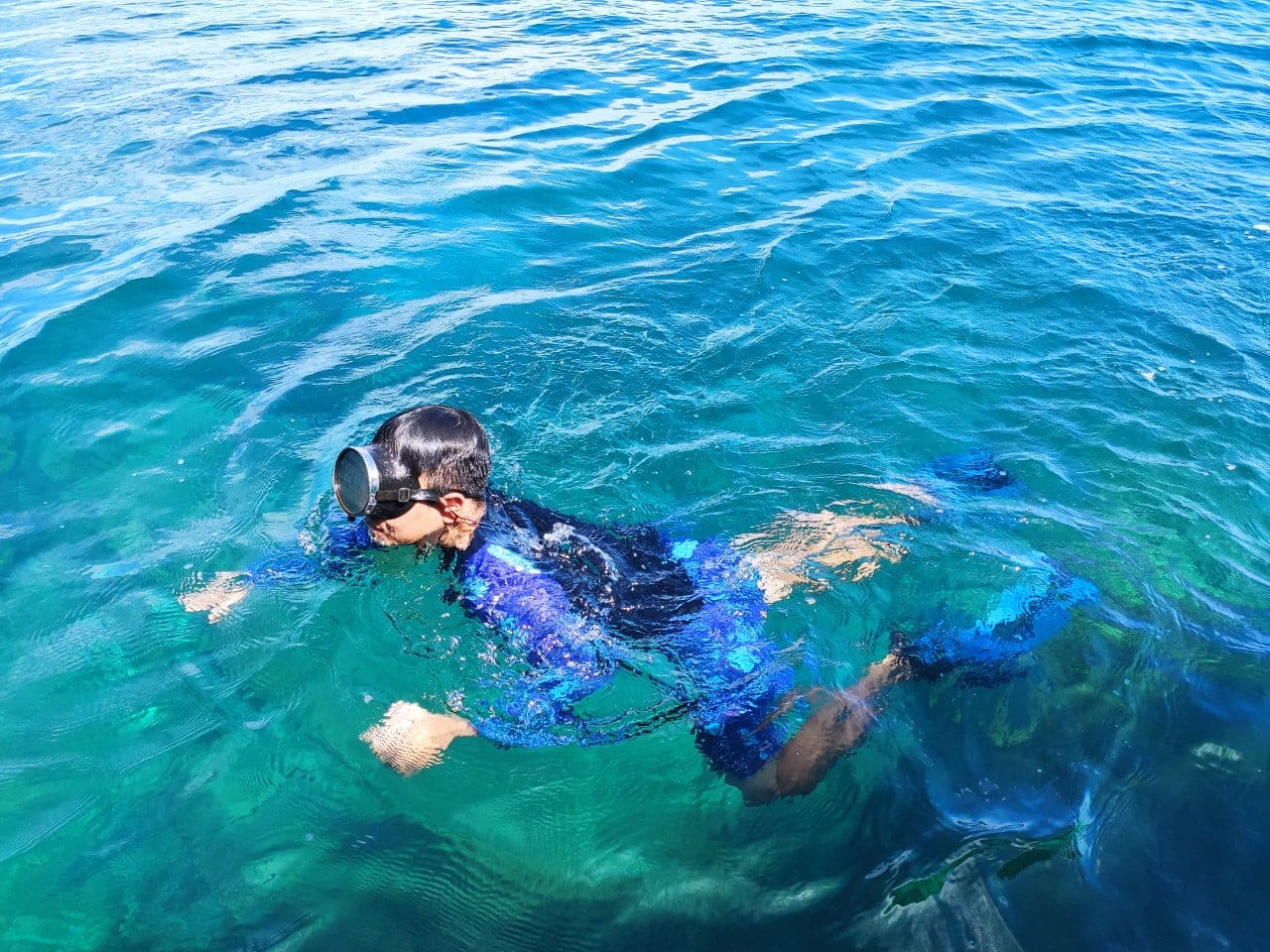 Du khách lặn ngắm san hô tại Cù Lao Chàm